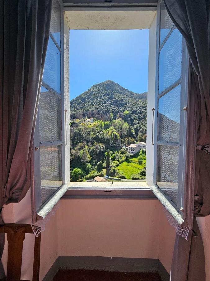 Palazzu Massoni, Magnifique Vue Sur La Mer Et La Montagne, Clim, Wifi, Parking Gratuit Cervione Εξωτερικό φωτογραφία