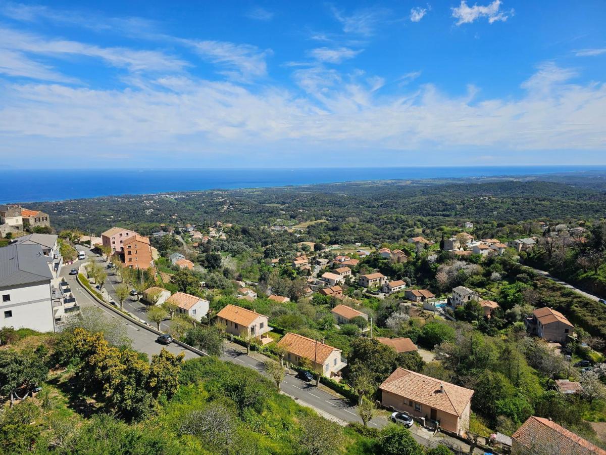 Palazzu Massoni, Magnifique Vue Sur La Mer Et La Montagne, Clim, Wifi, Parking Gratuit Cervione Εξωτερικό φωτογραφία